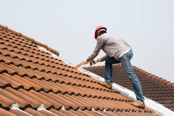Best Asphalt Shingle Roofing  in Barberton, OH