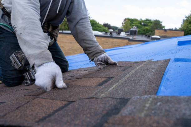 Best Roof Maintenance  in Barberton, OH