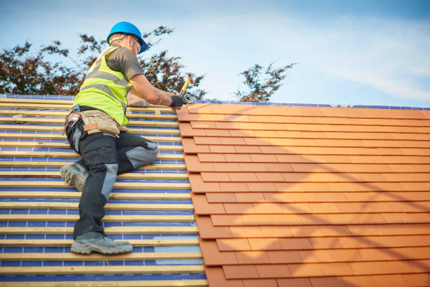 Best Metal Roofing Installation  in Barberton, OH